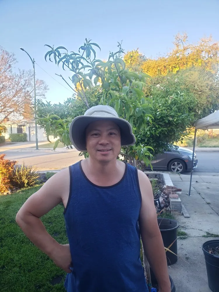 Top-rated residential landscaping for beautiful yards across Sunnyvale, CA - Inhouse All Gardening Service