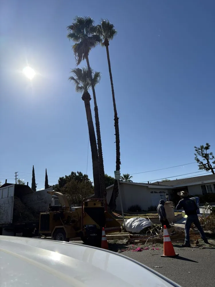 Reliable landscaping services in Lancaster, CA - Iniguez Tree Service