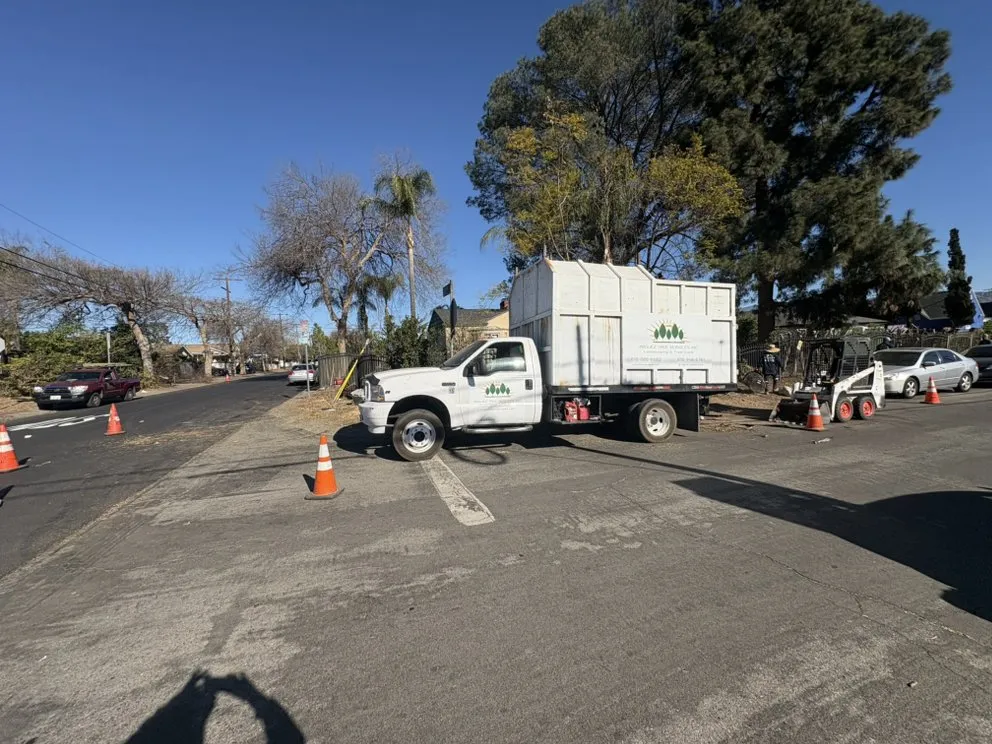 Local yard maintenance in Lancaster, CA - Iniguez Tree Service