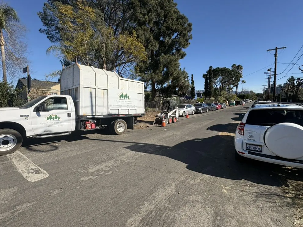 Professional residential landscaping for homes across Lancaster, CA - Iniguez Tree Service