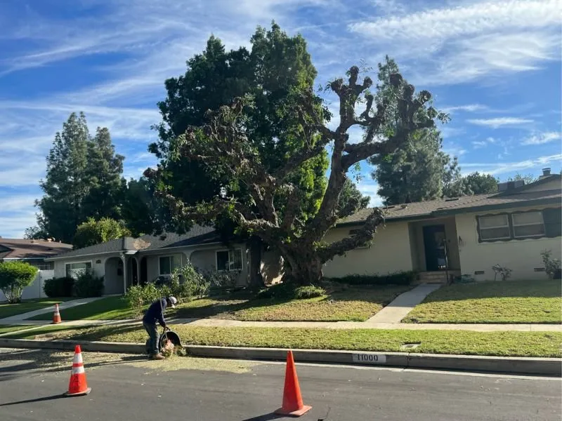 Local lawn care service for outdoor upgrades in Lancaster, CA by Iniguez Tree Service