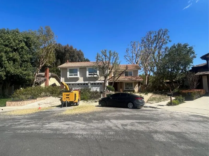 Reliable residential landscaping in Lancaster, CA by Iniguez Tree Service