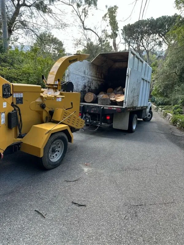 Custom outdoor landscaping in Lancaster, CA by Iniguez Tree Service