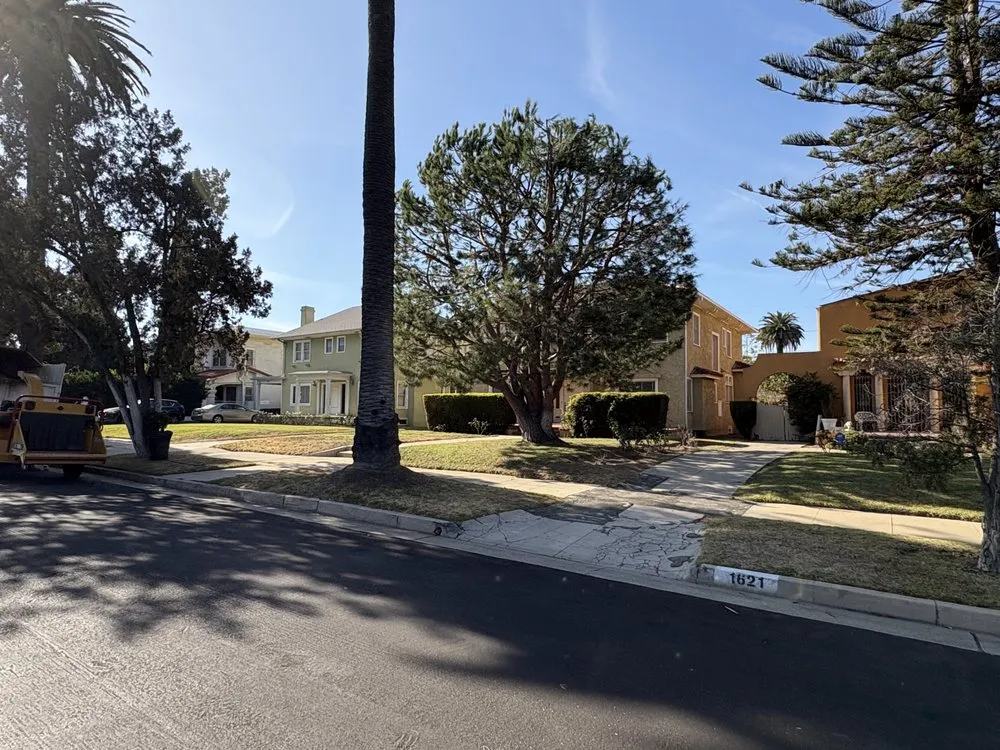 Top-rated yard maintenance in Lancaster, CA - Iniguez Tree Service