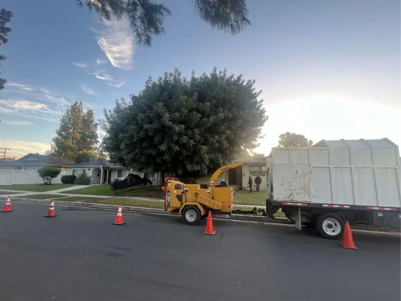 Local lawn mowing service for outdoor upgrades across Lancaster, CA - Iniguez Tree Service