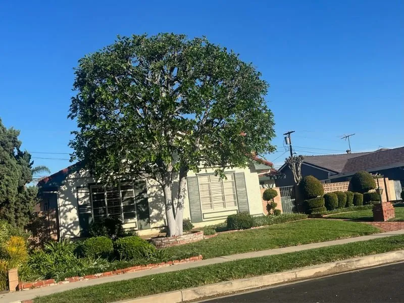 Reliable residential landscaping for beautiful yards across Lancaster, CA - Iniguez Tree Service