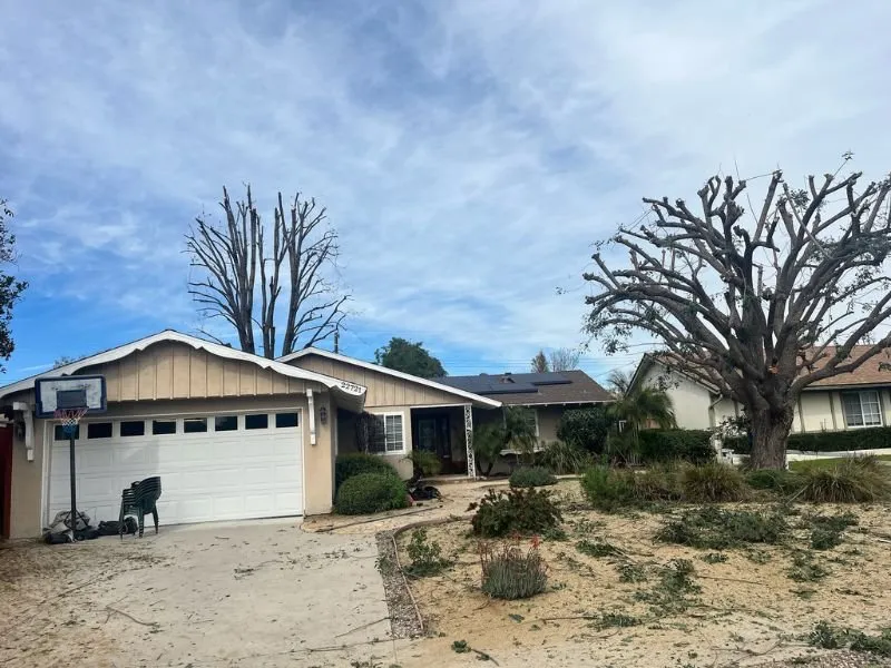 Top-rated yard maintenance experts serving Lancaster, CA - Iniguez Tree Service