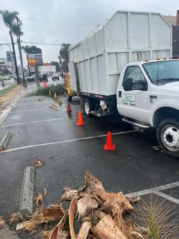 Top-rated lawn care service in Lancaster, CA - Iniguez Tree Service