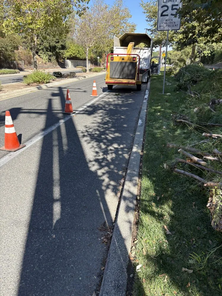Local residential landscaping in Lancaster, CA by Iniguez Tree Service