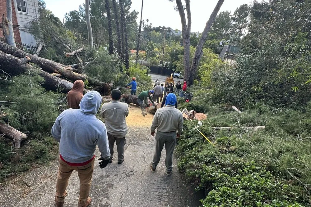 Affordable lawn mowing service with custom design across Lancaster, CA - Iniguez Tree Service