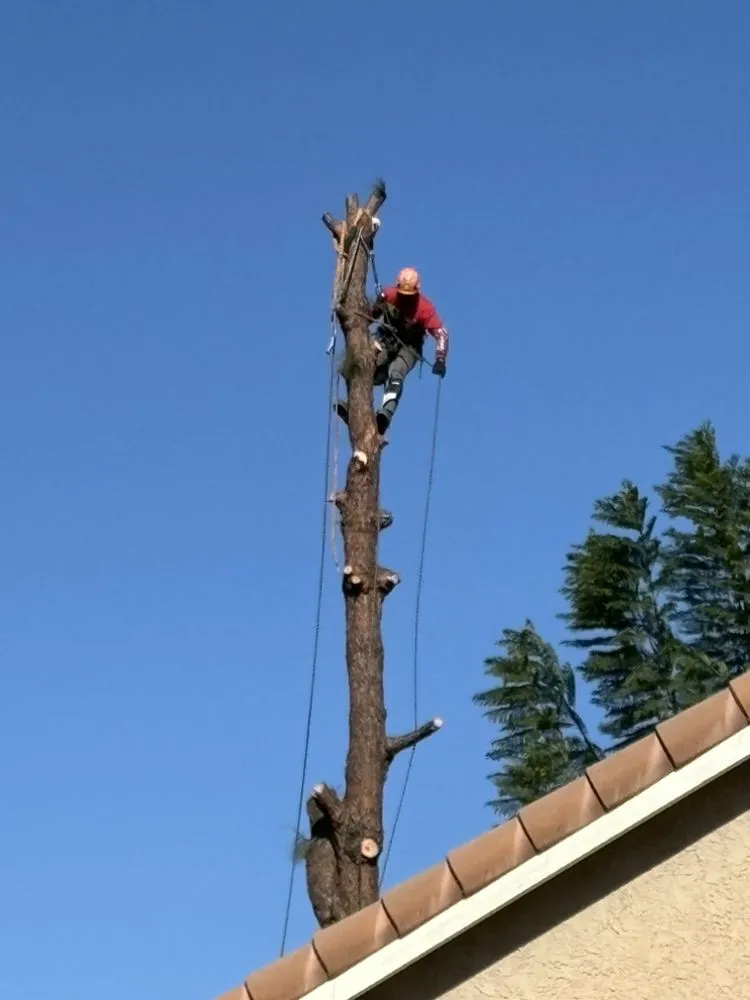 Custom landscape installation in Lancaster, CA by Iniguez Tree Service