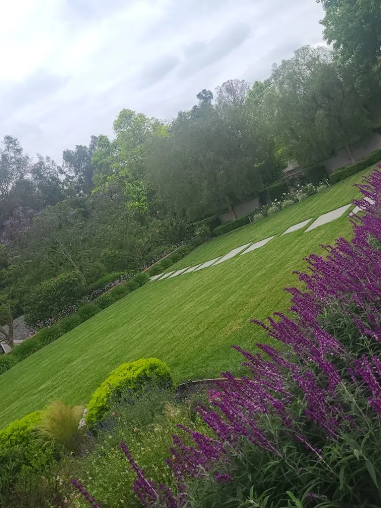 Expert garden landscaping for beautiful yards in Oxnard, CA by Iniguez'S landscaping Service