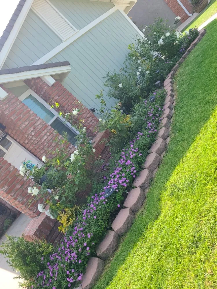 Reliable yard cleanup service experts serving Oxnard, CA - Iniguez'S landscaping Service