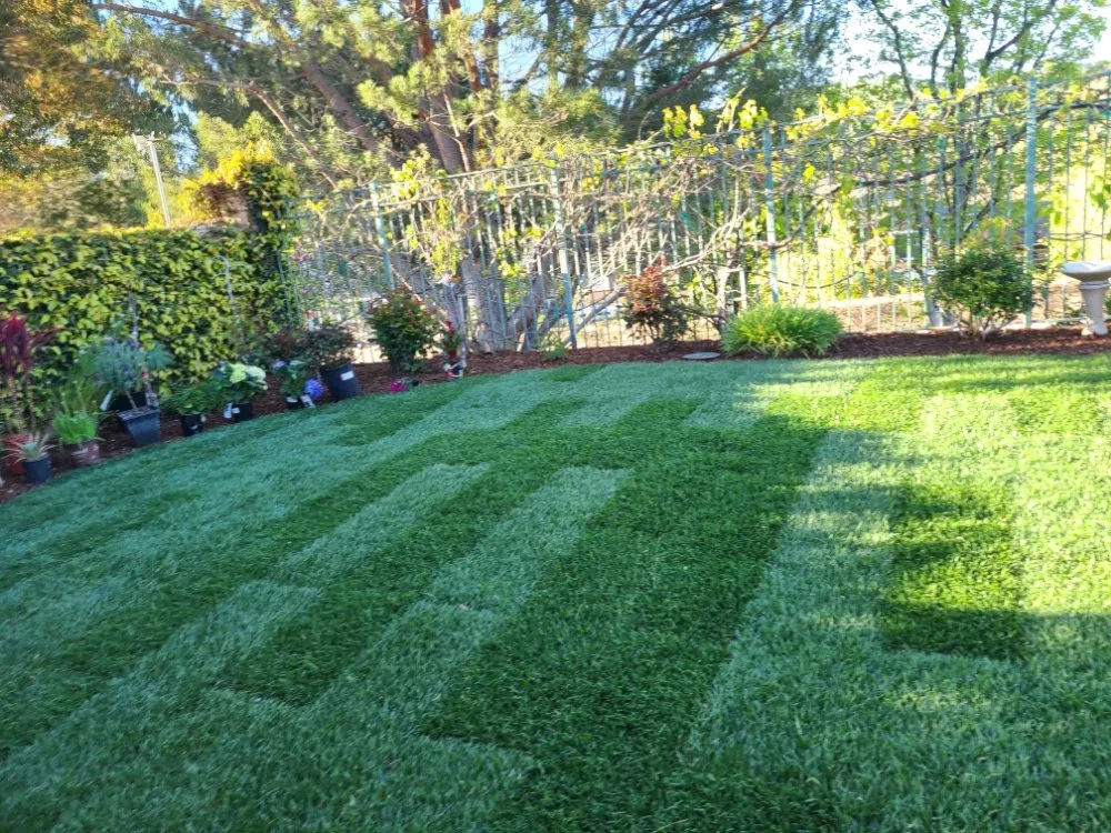 Professional garden landscaping for residential properties in Oxnard, CA by Iniguez'S landscaping Service