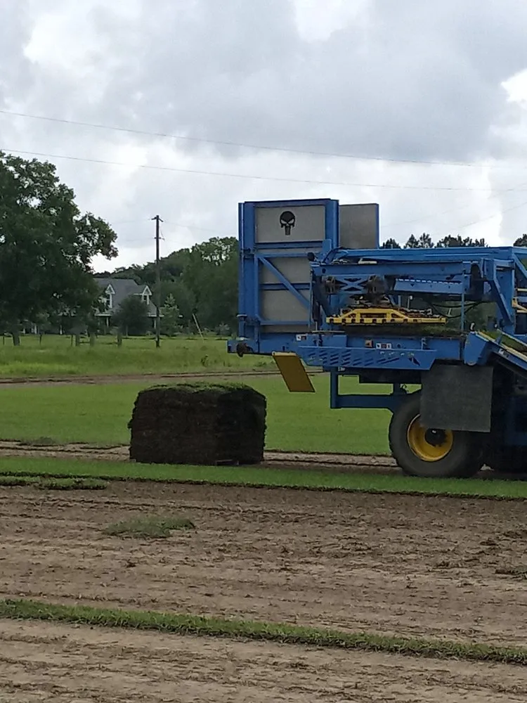 Professional outdoor landscaping experts serving Pensacola, FL - Initial Lawn Service