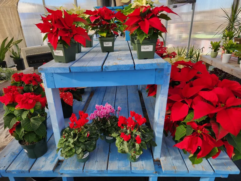 Top-rated lawn mowing service in Frankford, DE by Inland Bays Garden Center