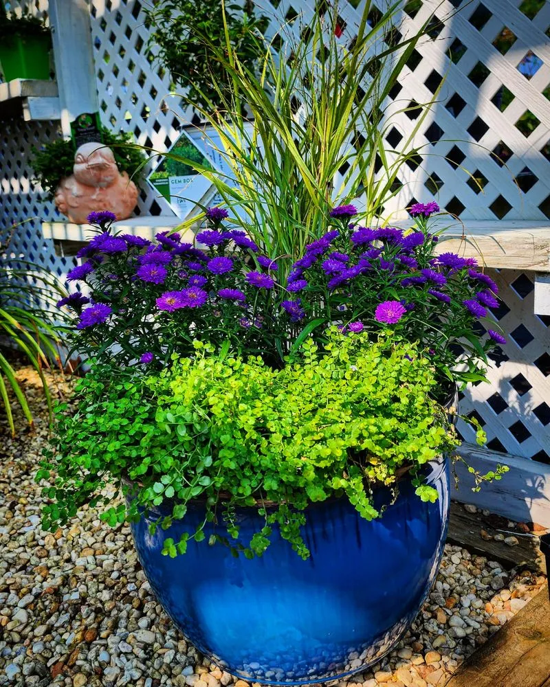 Custom landscape installation for year-round maintenance in Frankford, DE by Inland Bays Garden Center