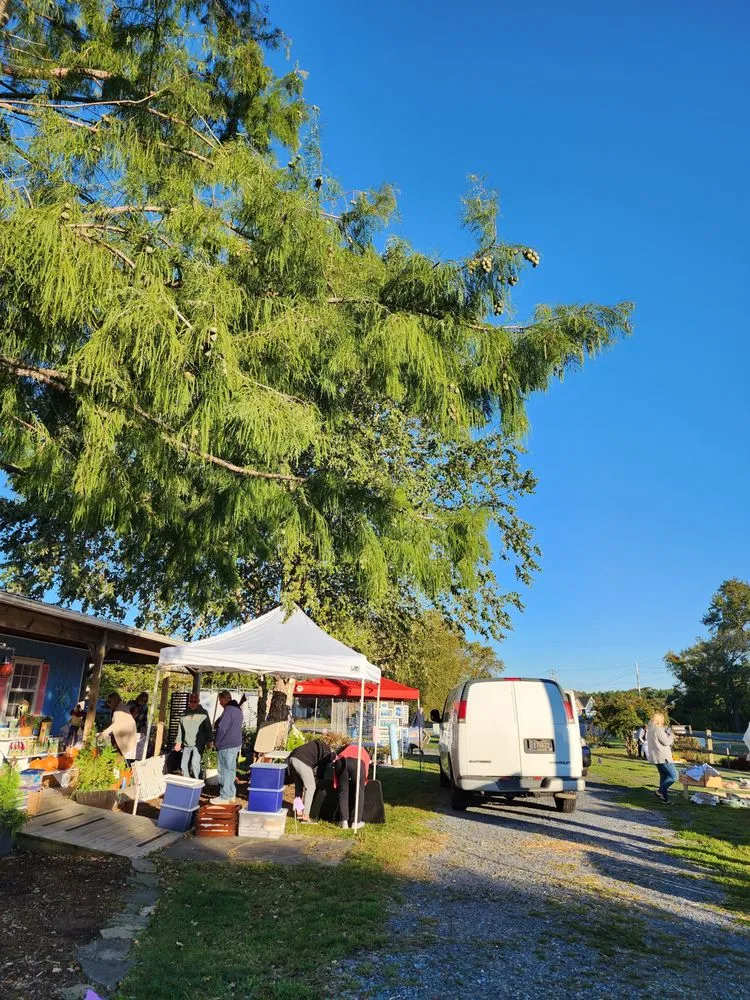 Professional outdoor landscaping in Frankford, DE by Inland Bays Garden Center