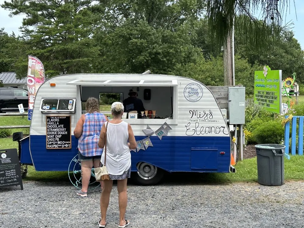 Expert landscape installation with custom design in Frankford, DE by Inland Bays Garden Center