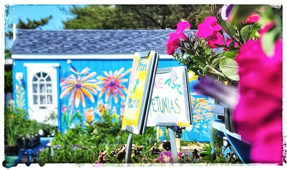 Trusted yard maintenance for residential properties across Frankford, DE - Inland Bays Garden Center