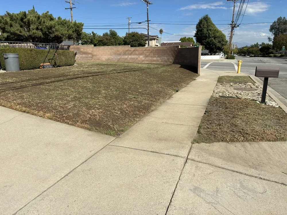 Local yard cleanup service for homes across Riverside, CA - Inland Empire House Repair and Handyman Services