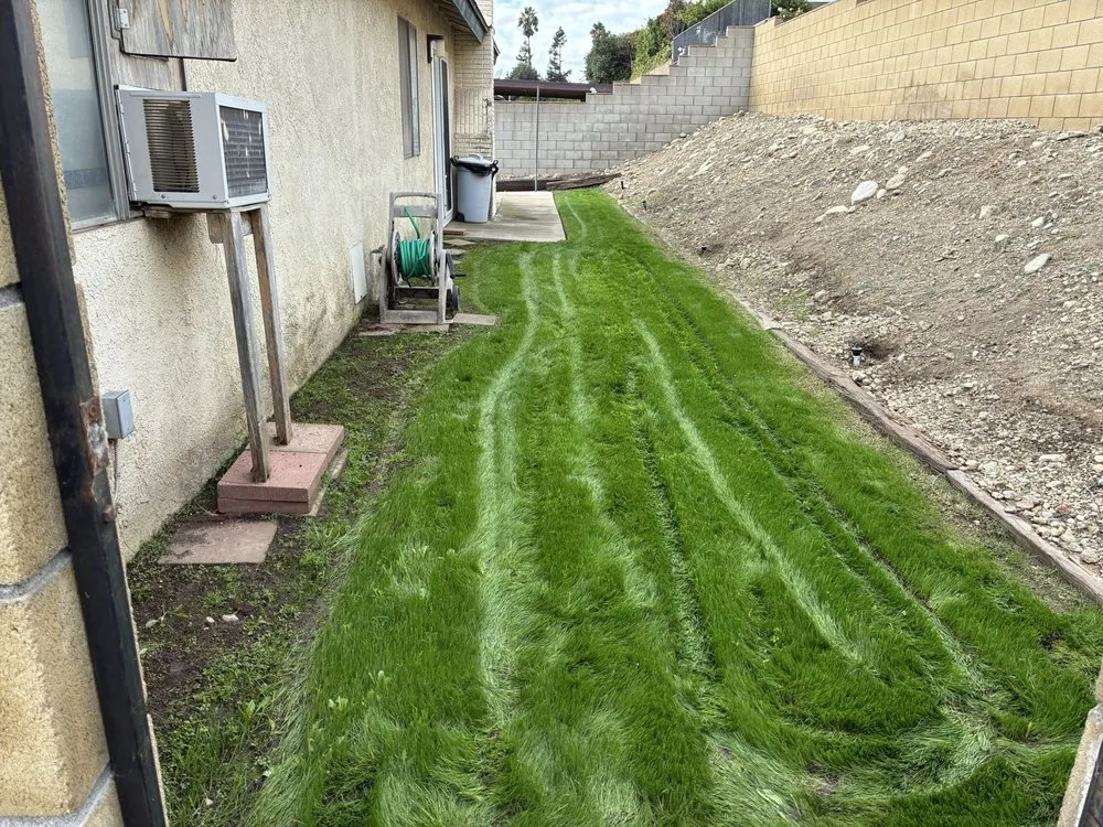 Professional garden landscaping for year-round maintenance in Riverside, CA by Inland Empire House Repair and Handyman Services