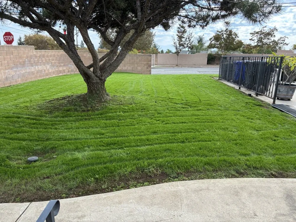 Professional landscaping services for residential properties in Riverside, CA by Inland Empire House Repair and Handyman Services