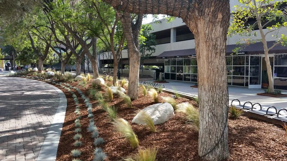 Local yard cleanup service in San Bernardino, CA by Inland Empire Landscape