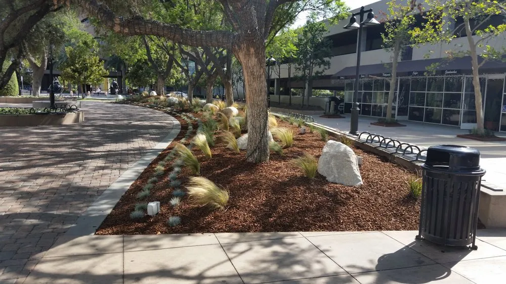 Reliable landscape design for homes in San Bernardino, CA by Inland Empire Landscape