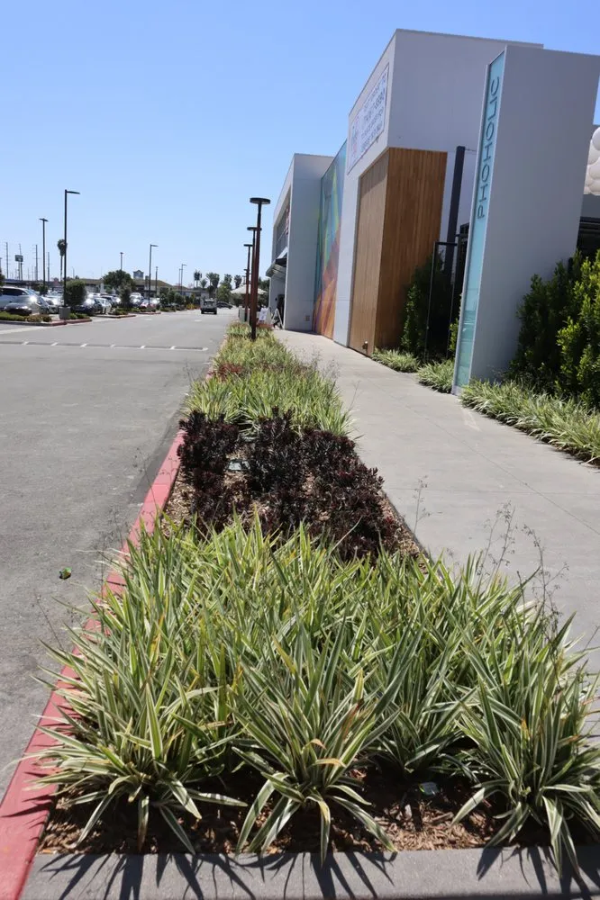 Reliable outdoor landscaping for outdoor upgrades in San Bernardino, CA by Inland Empire Landscape