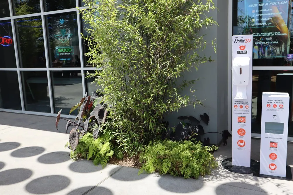 Top-rated yard cleanup service near you in San Bernardino, CA by Inland Empire Landscape