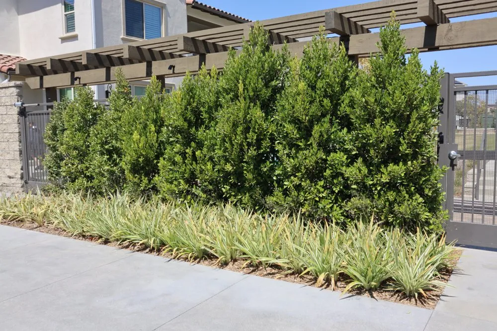 Professional landscape design for homes across San Bernardino, CA - Inland Empire Landscape