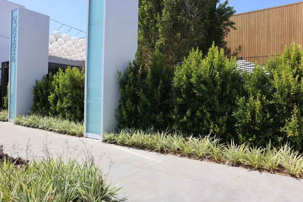 Professional yard maintenance for outdoor upgrades across San Bernardino, CA - Inland Empire Landscape