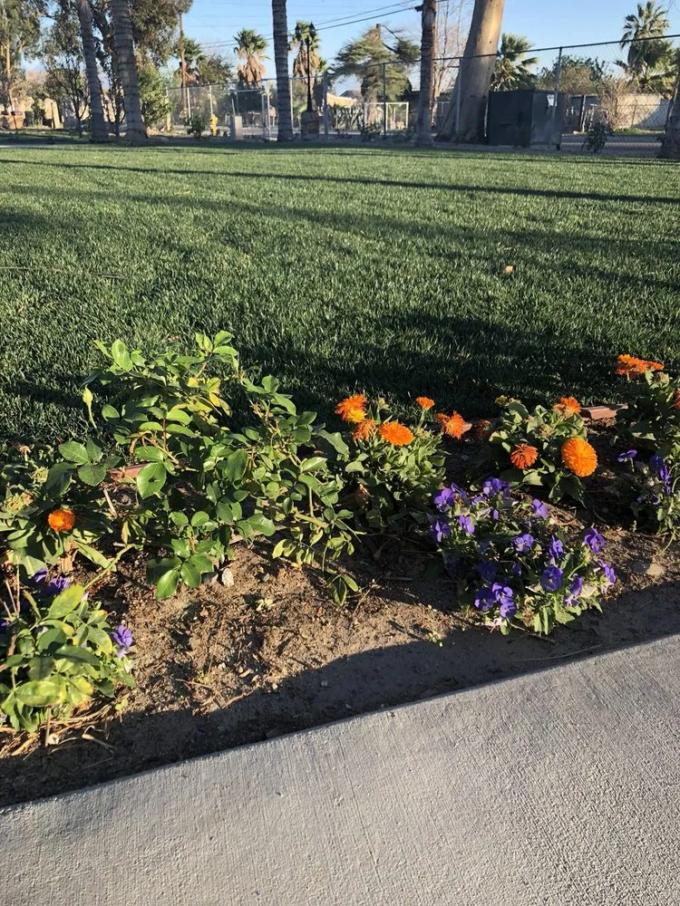 Reliable landscape installation with custom design across San Bernardino, CA - Inland Empire Landscape