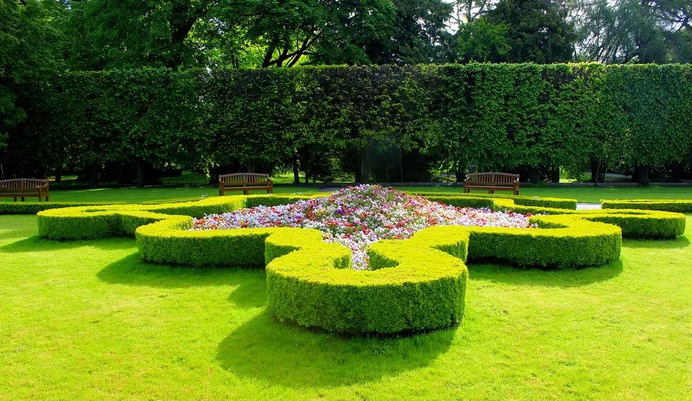 Reliable yard maintenance in Rancho Cucamonga, CA by Inland Empire Landscapers