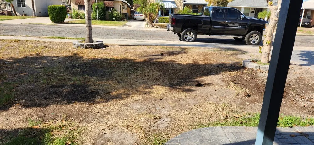 Custom yard cleanup service in Rialto, CA - Inland Empire Street Maintenance & Landscape