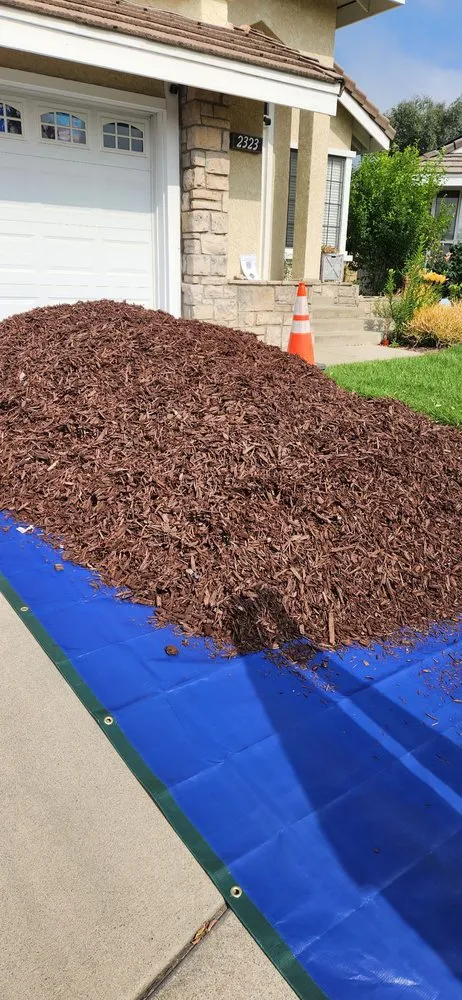 Affordable yard maintenance with custom design in Rialto, CA by Inland Empire Street Maintenance & Landscape