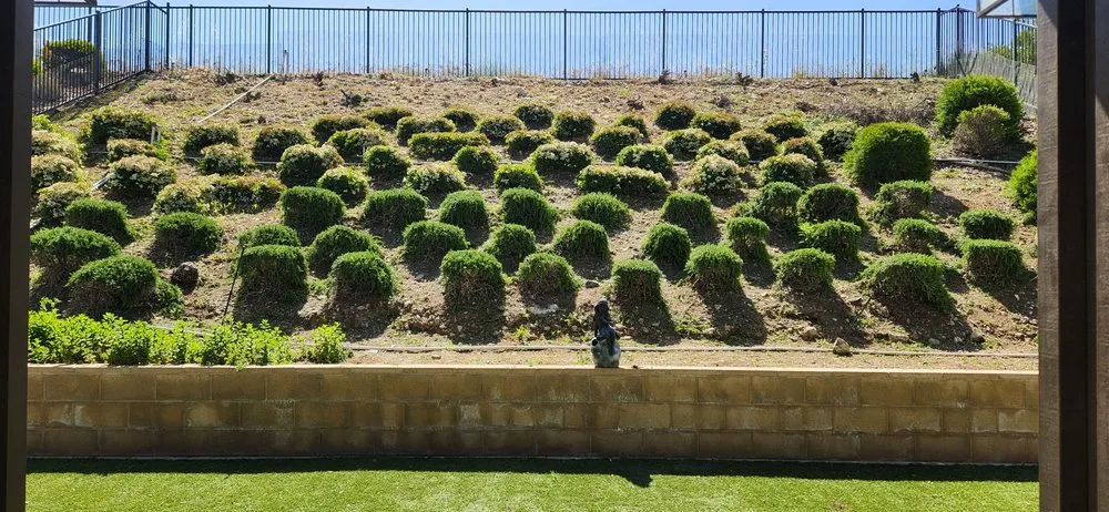 Top-rated lawn care service experts serving Rialto, CA - Inland Empire Street Maintenance & Landscape