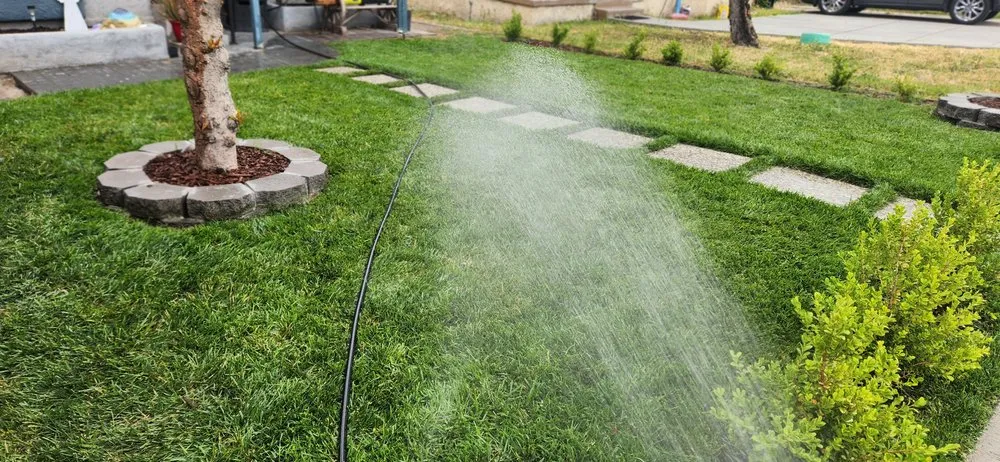 Reliable yard maintenance in Rialto, CA - Inland Empire Street Maintenance & Landscape