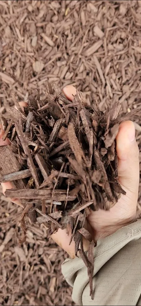 Trusted garden landscaping in Rialto, CA by Inland Empire Street Maintenance & Landscape