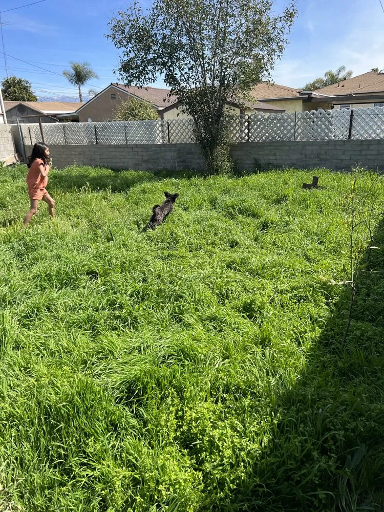 Trusted outdoor landscaping experts serving Rialto, CA - Inland Empire Street Maintenance & Landscape