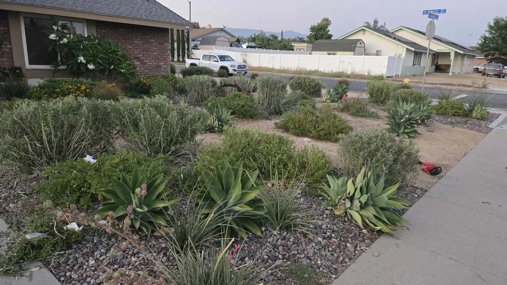 Reliable outdoor landscaping in Redlands, CA - Inland Empire Yard Care and Junk Hauling