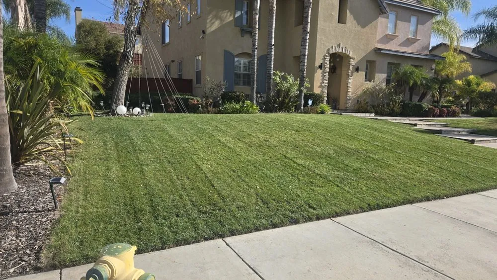 Custom landscape installation experts serving Redlands, CA - Inland Empire Yard Care and Junk Hauling