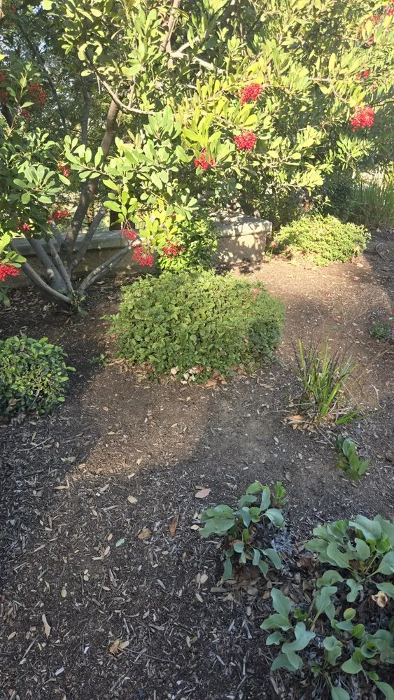 Top-rated lawn mowing service in Redlands, CA by Inland Empire Yard Care and Junk Hauling