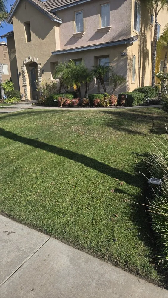 Expert yard maintenance for residential properties across Redlands, CA - Inland Empire Yard Care and Junk Hauling