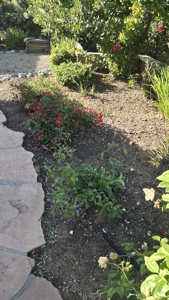 Local landscape design for year-round maintenance in Redlands, CA by Inland Empire Yard Care and Junk Hauling