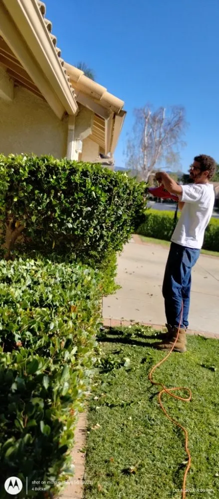 Custom outdoor landscaping for beautiful yards in Palm Desert., CA by Inland Landscaping Hardscaping Service