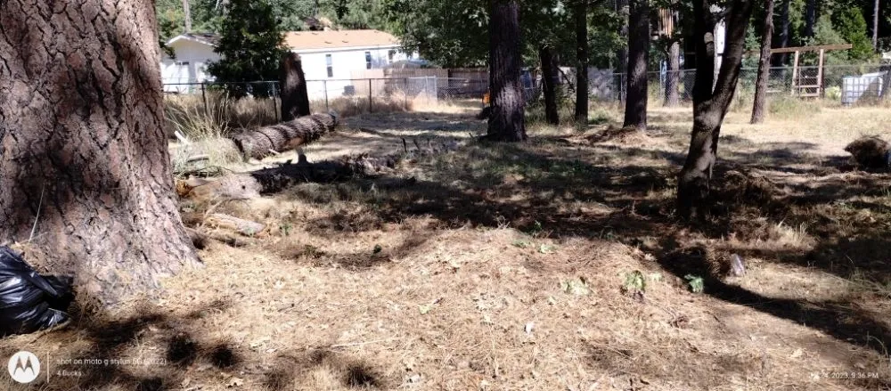 Professional garden landscaping in Palm Desert., CA by Inland Landscaping Hardscaping Service