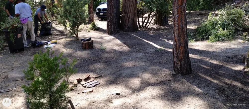 Trusted garden landscaping in Palm Desert., CA - Inland Landscaping Hardscaping Service