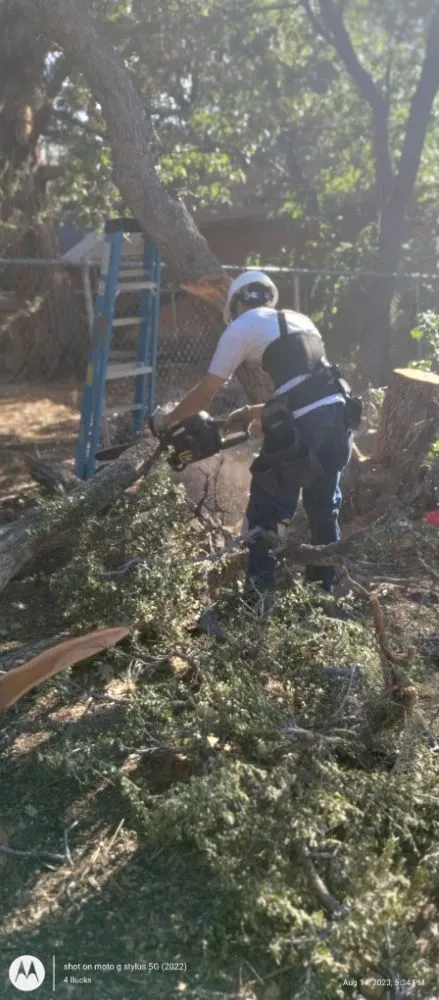 Expert outdoor landscaping experts serving Palm Desert., CA - Inland Landscaping Hardscaping Service
